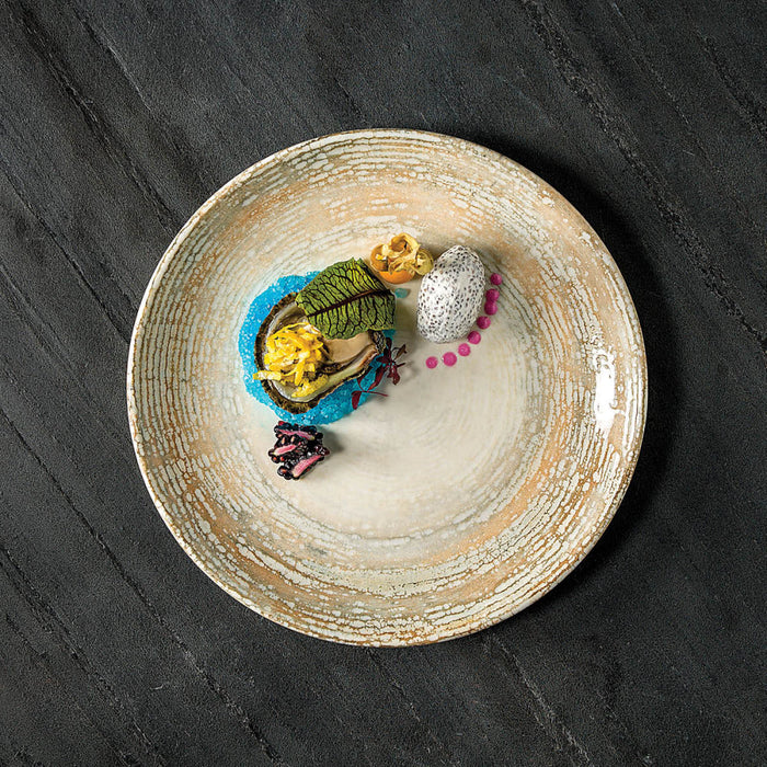 Bonna Patera 10.5" Gourmet Round Porcelain Flat Plate - PTRGRM27DZ